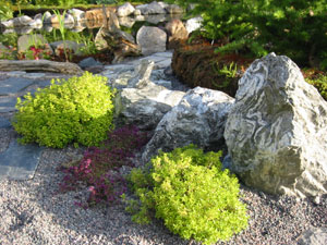 Sten  och grönt i trädgården